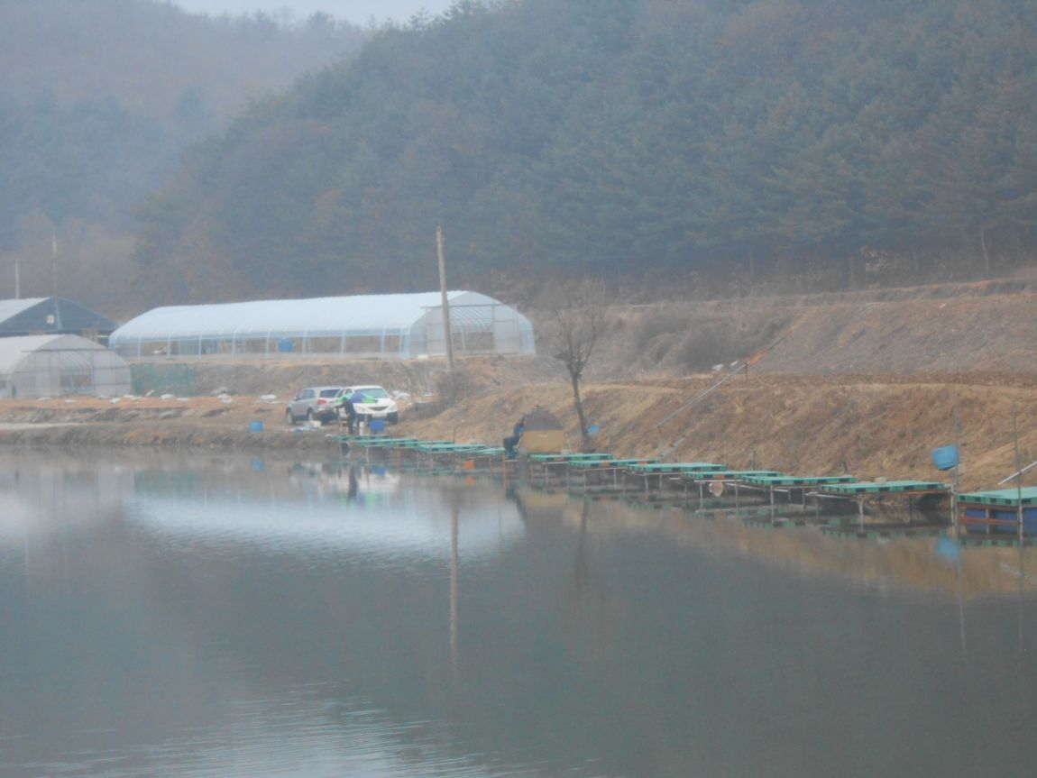 DSCN3179.JPG