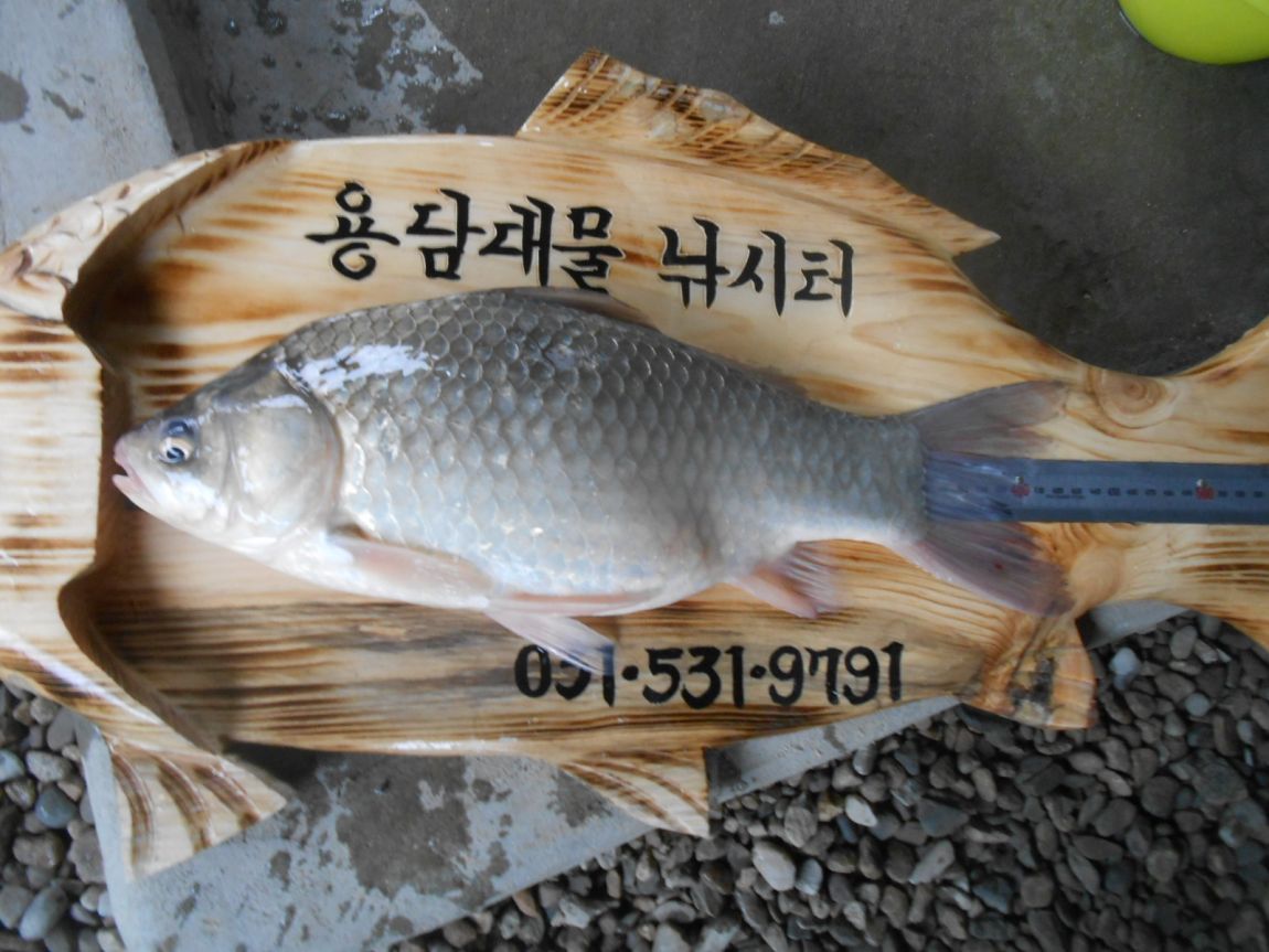 DSCN3185.JPG