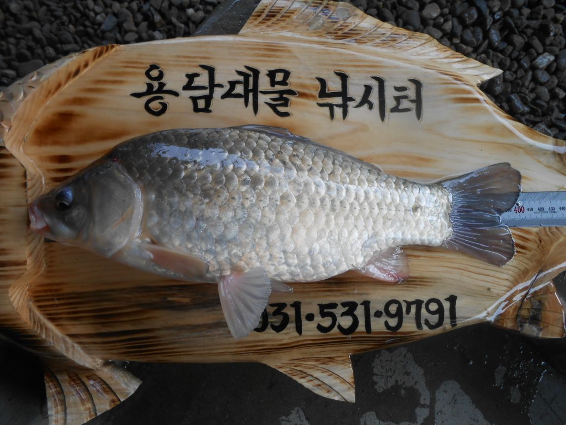 DSCN3188.JPG
