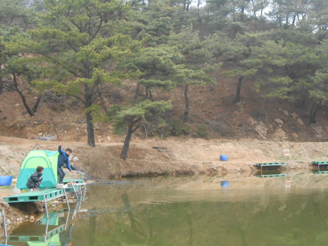 DSCN3197.JPG