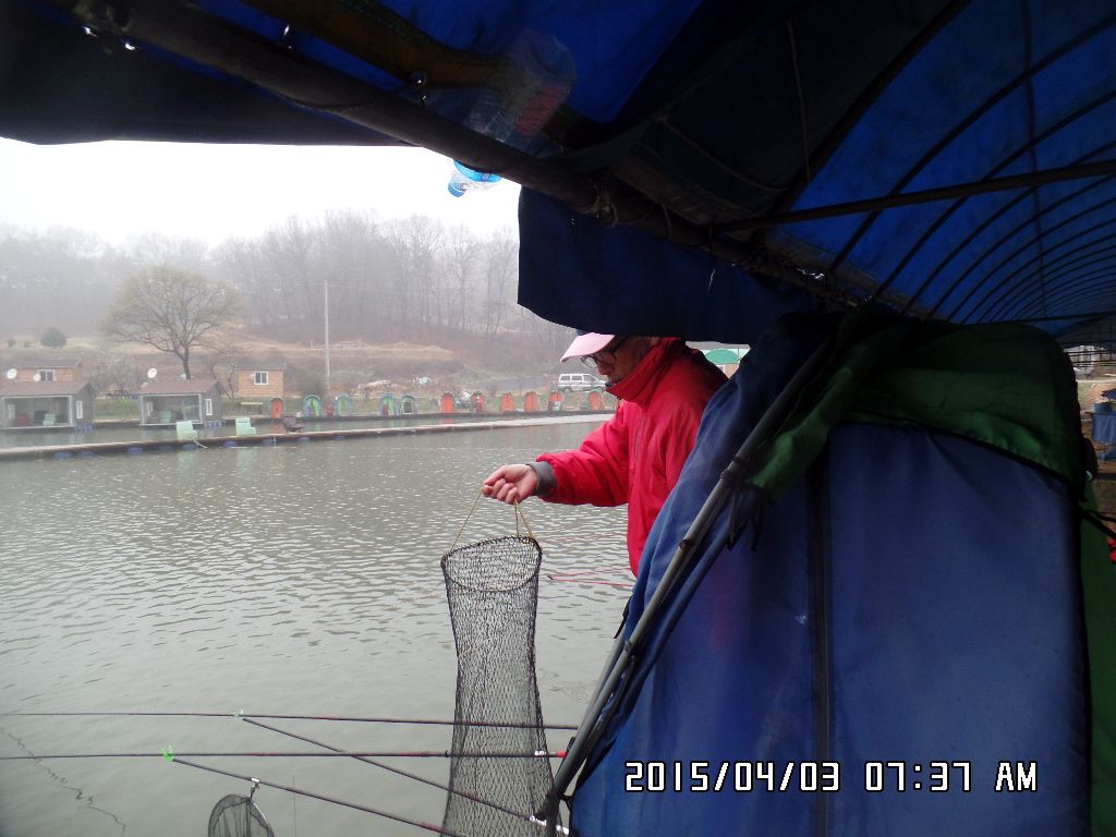 SAM_5118.JPG