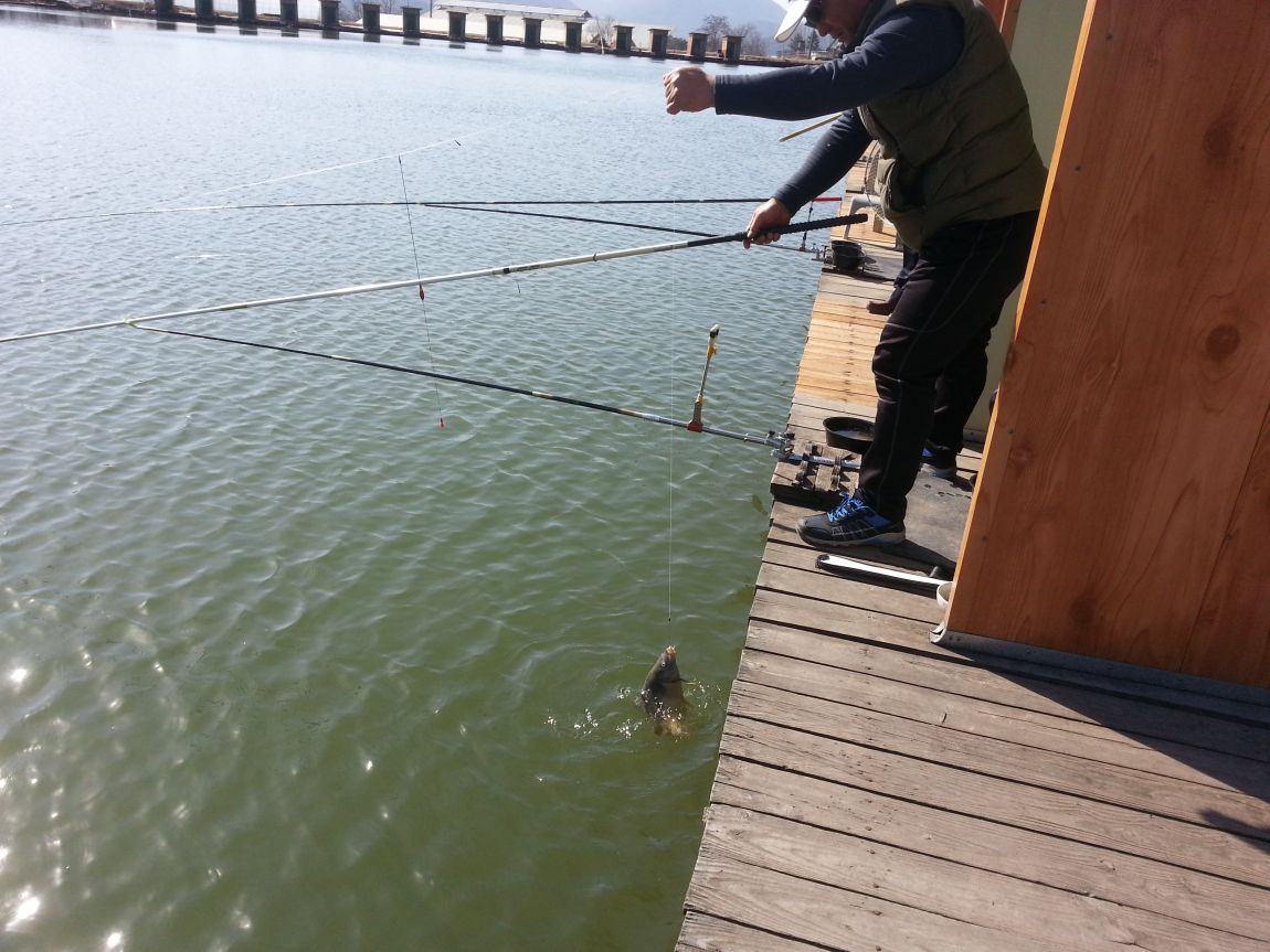 20150323_094704.jpg