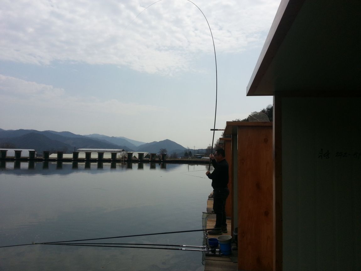20150402_131155.jpg