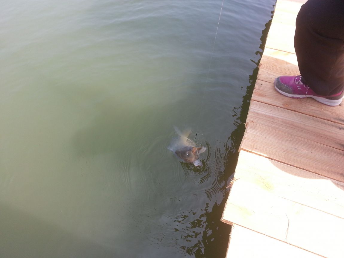 20150330_115858.jpg
