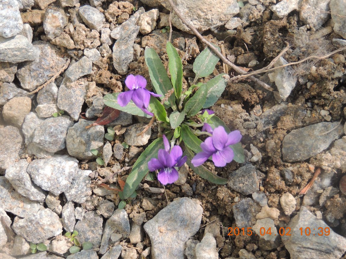 DSCN4047.JPG