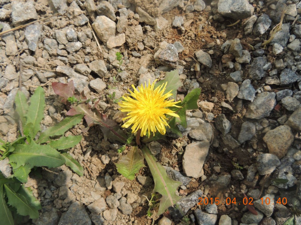 DSCN4048.JPG