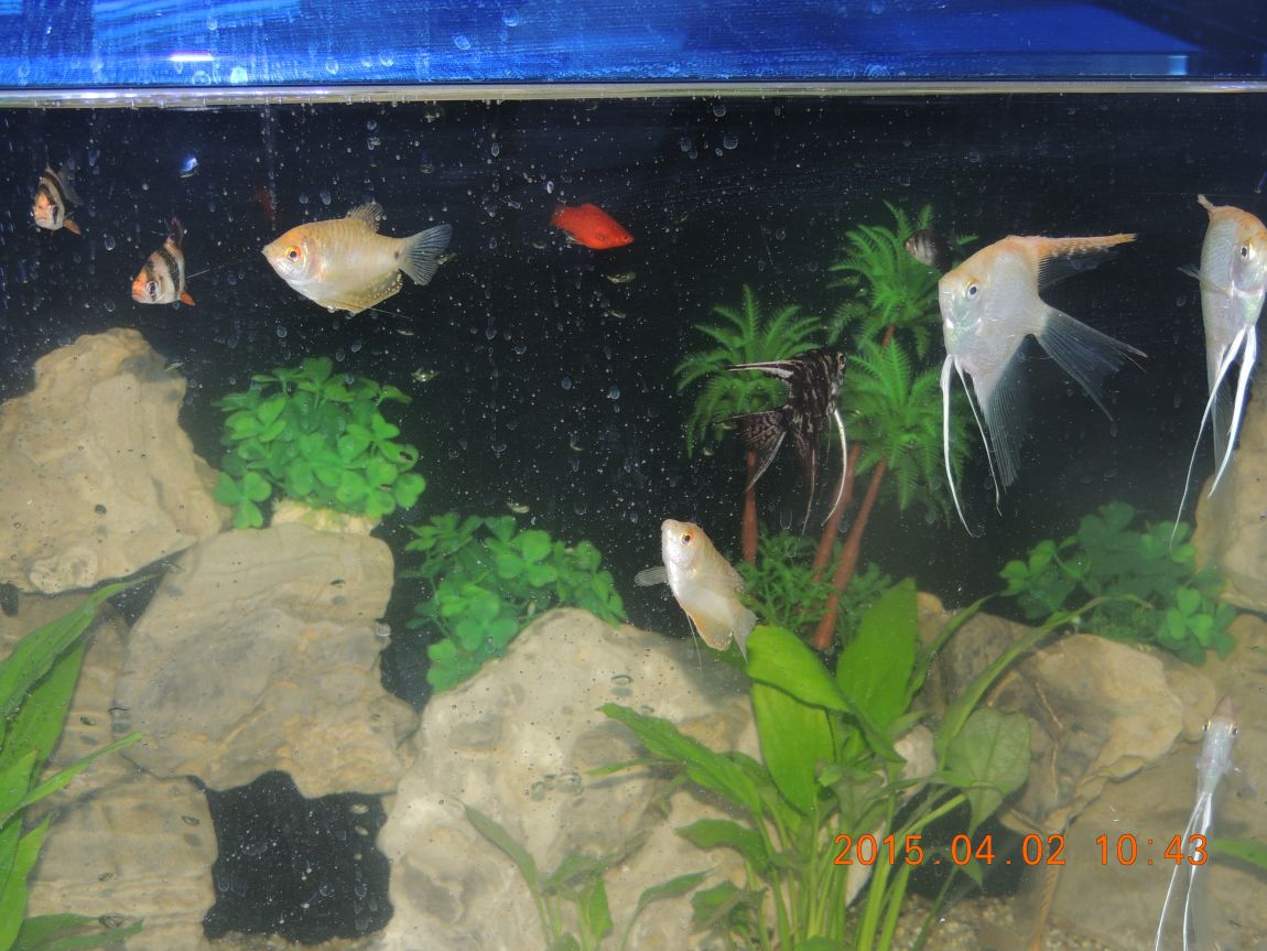 DSCN4052.JPG