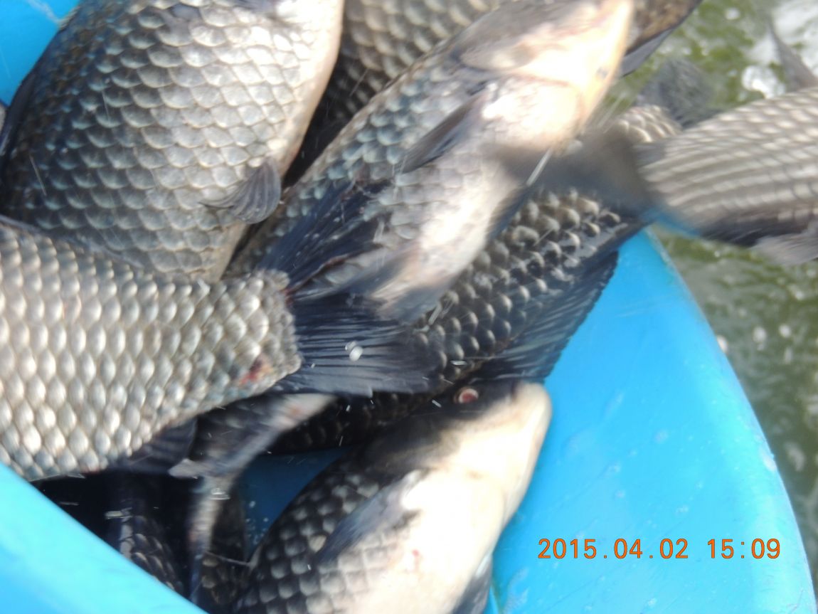 DSCN4058.JPG