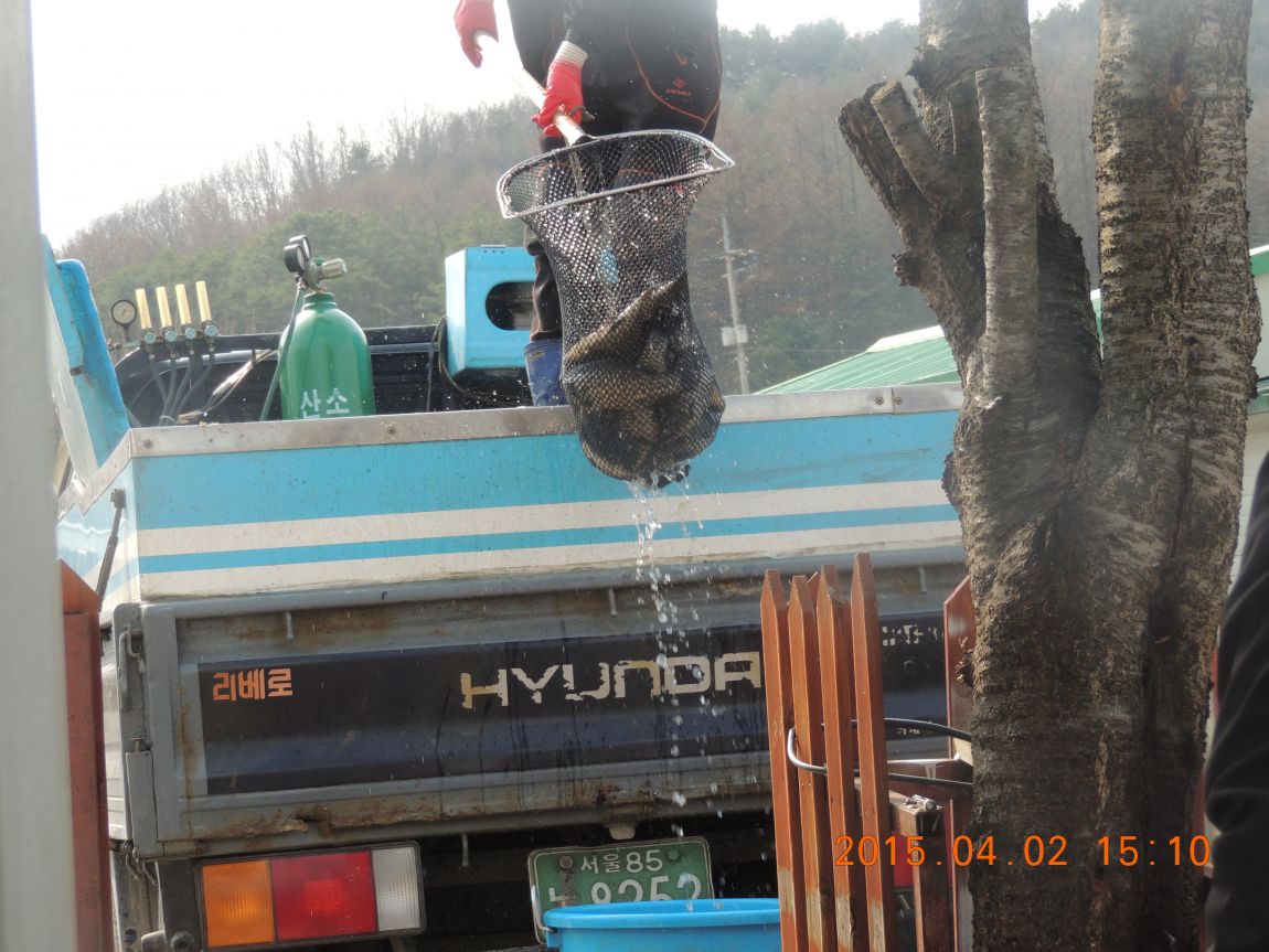 DSCN4059.JPG