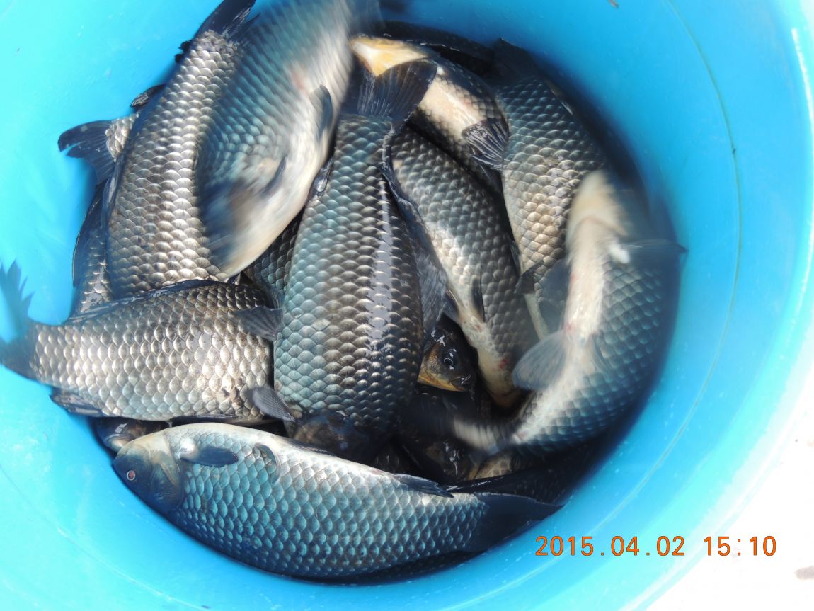 DSCN4060.JPG