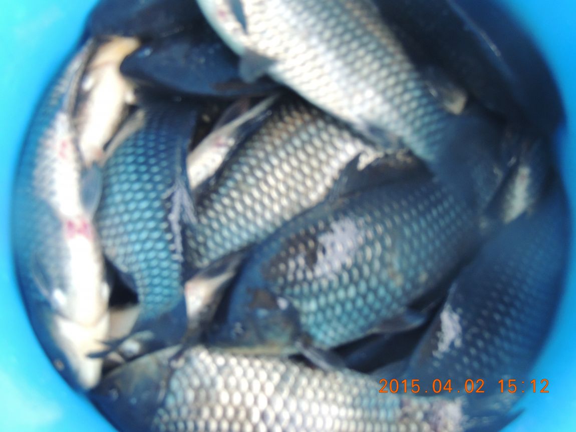DSCN4066.JPG