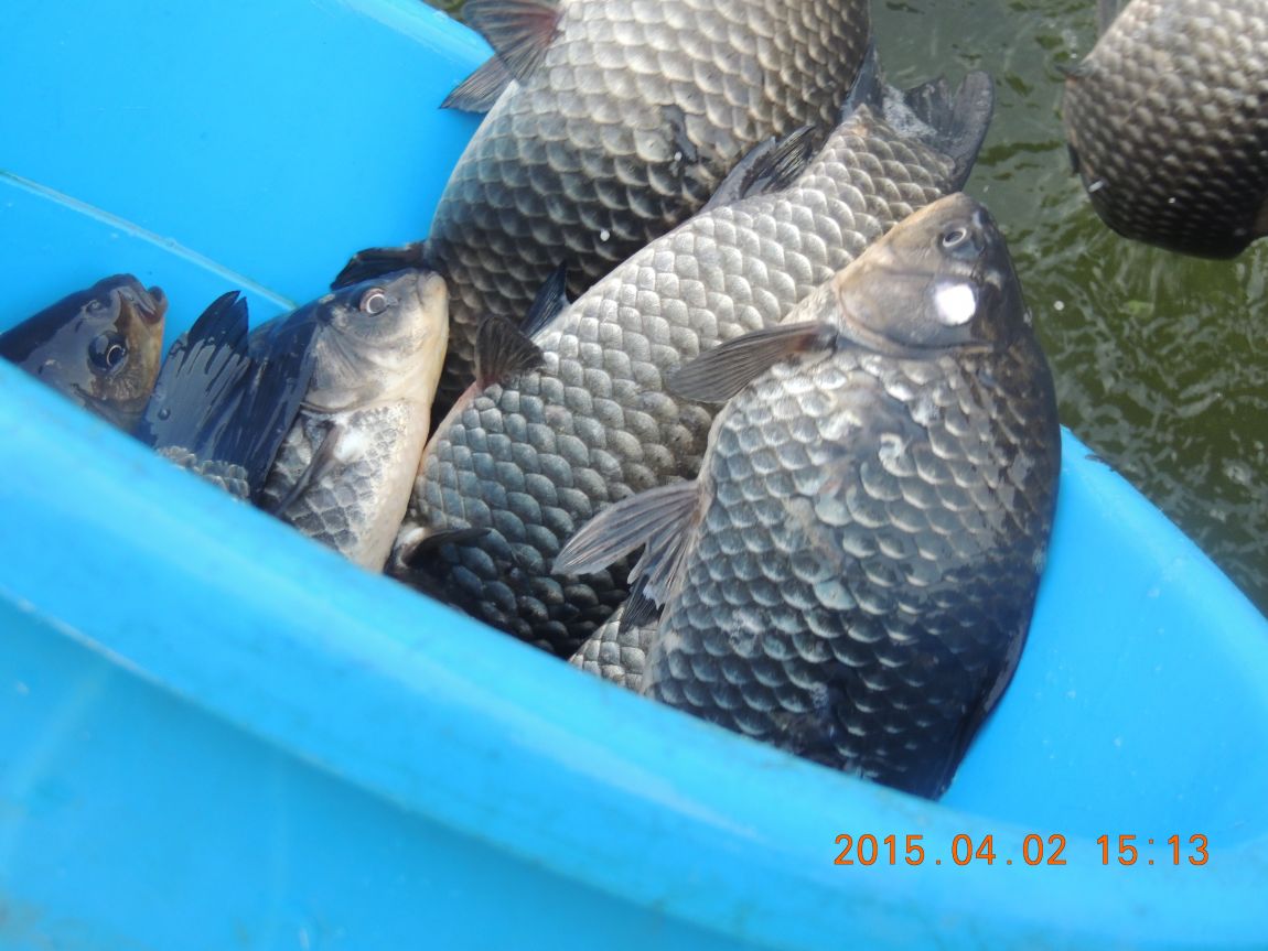 DSCN4068.JPG