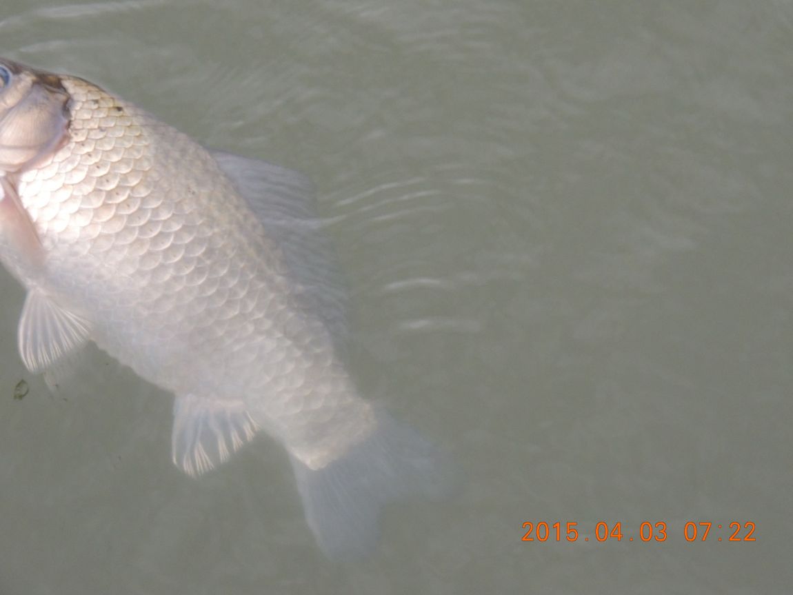 DSCN4069.JPG