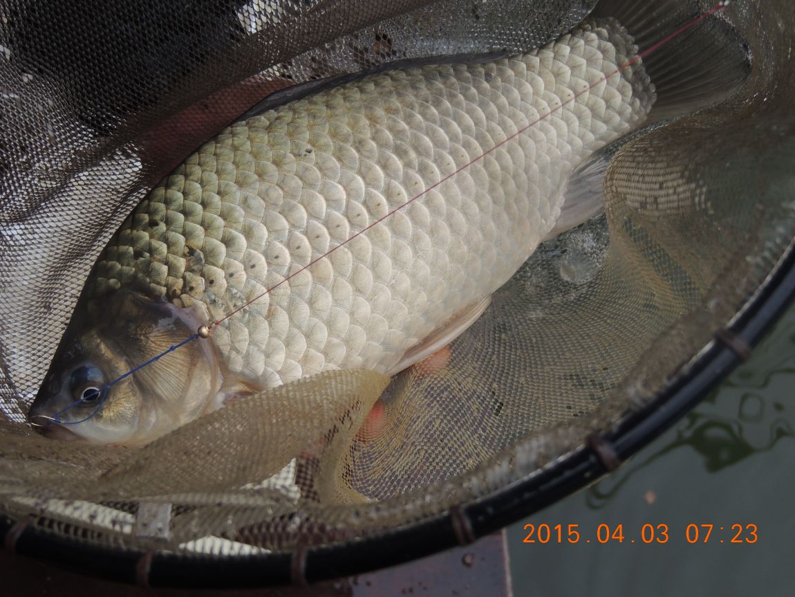 DSCN4072.JPG