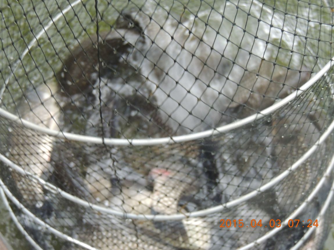 DSCN4073.JPG
