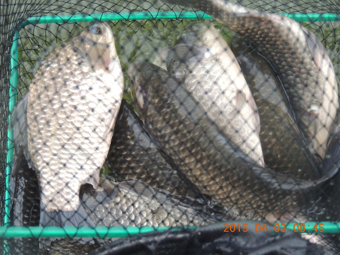 DSCN4074.JPG