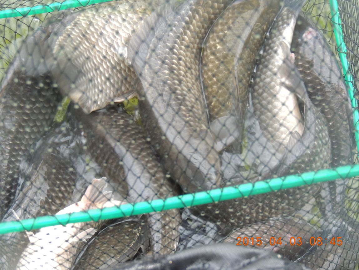 DSCN4075.JPG