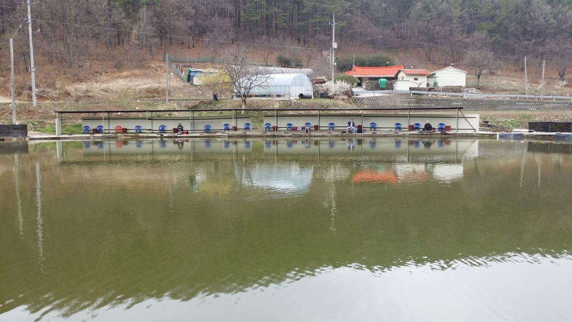 20150403_130542.jpg