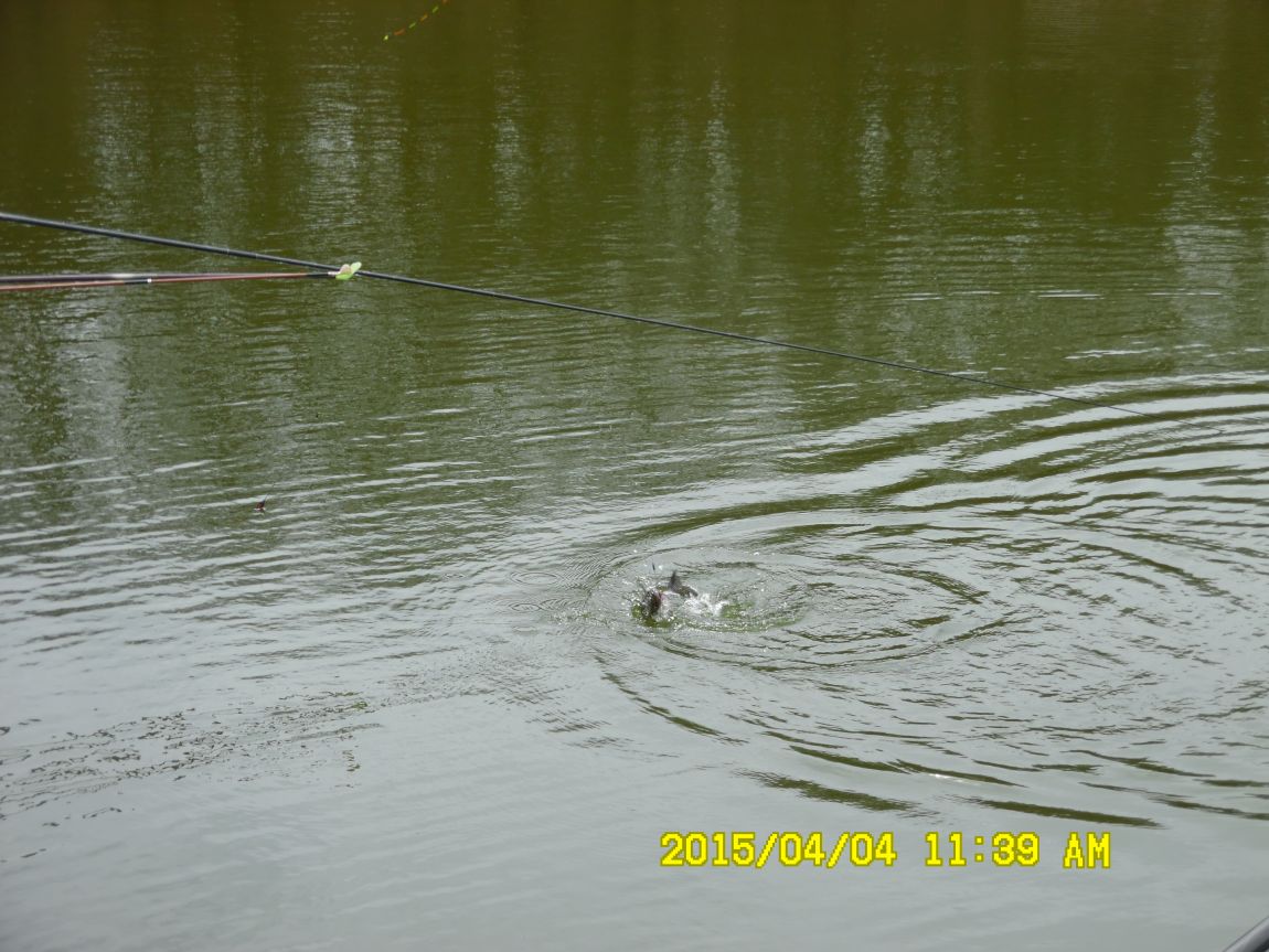 44 031.JPG