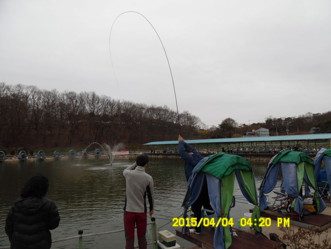 44 146.JPG