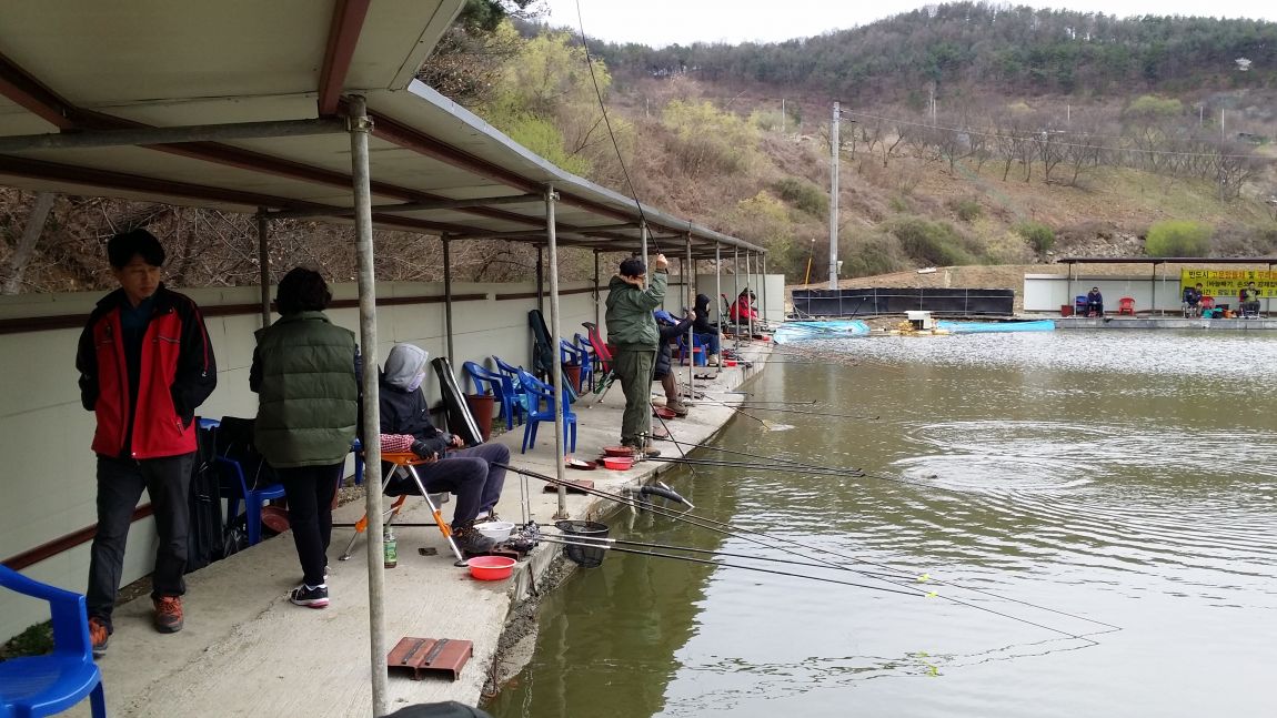 20150404_131049.jpg