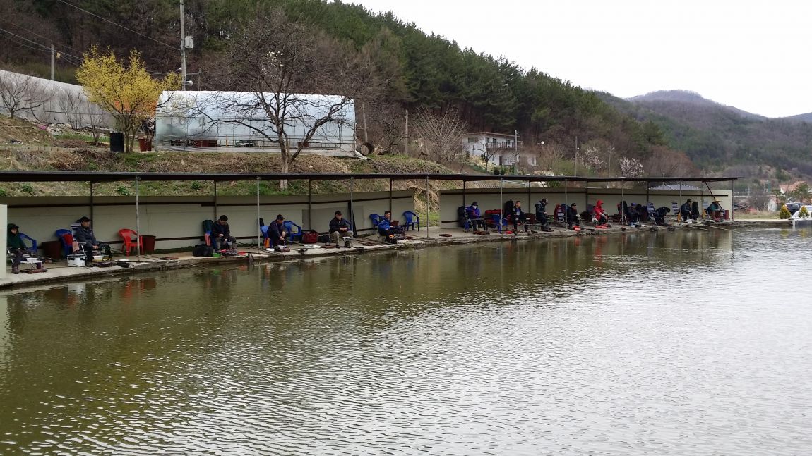 20150404_131634.jpg