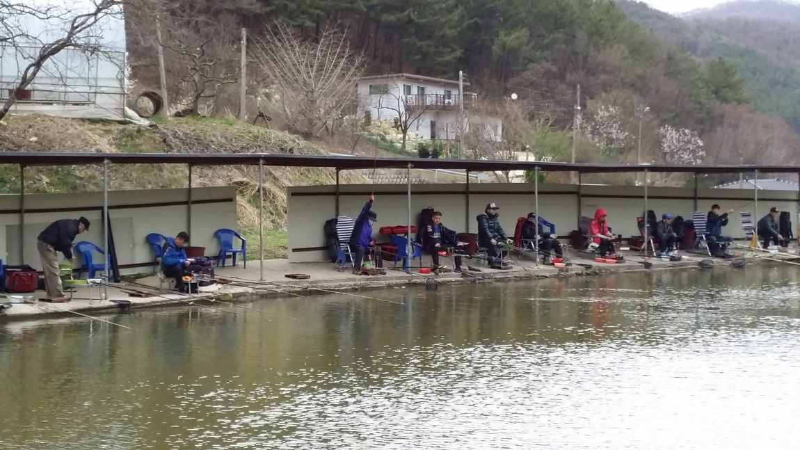20150404_131738.jpg