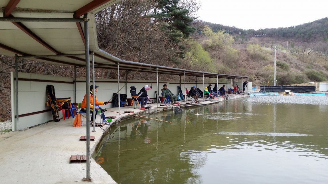 20150404_141037.jpg