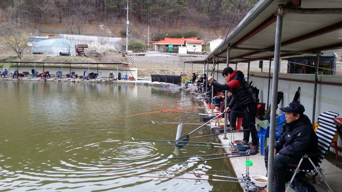 20150404_144329.jpg