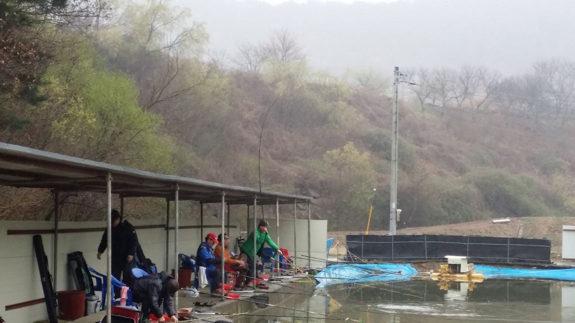 20150405_130517.jpg