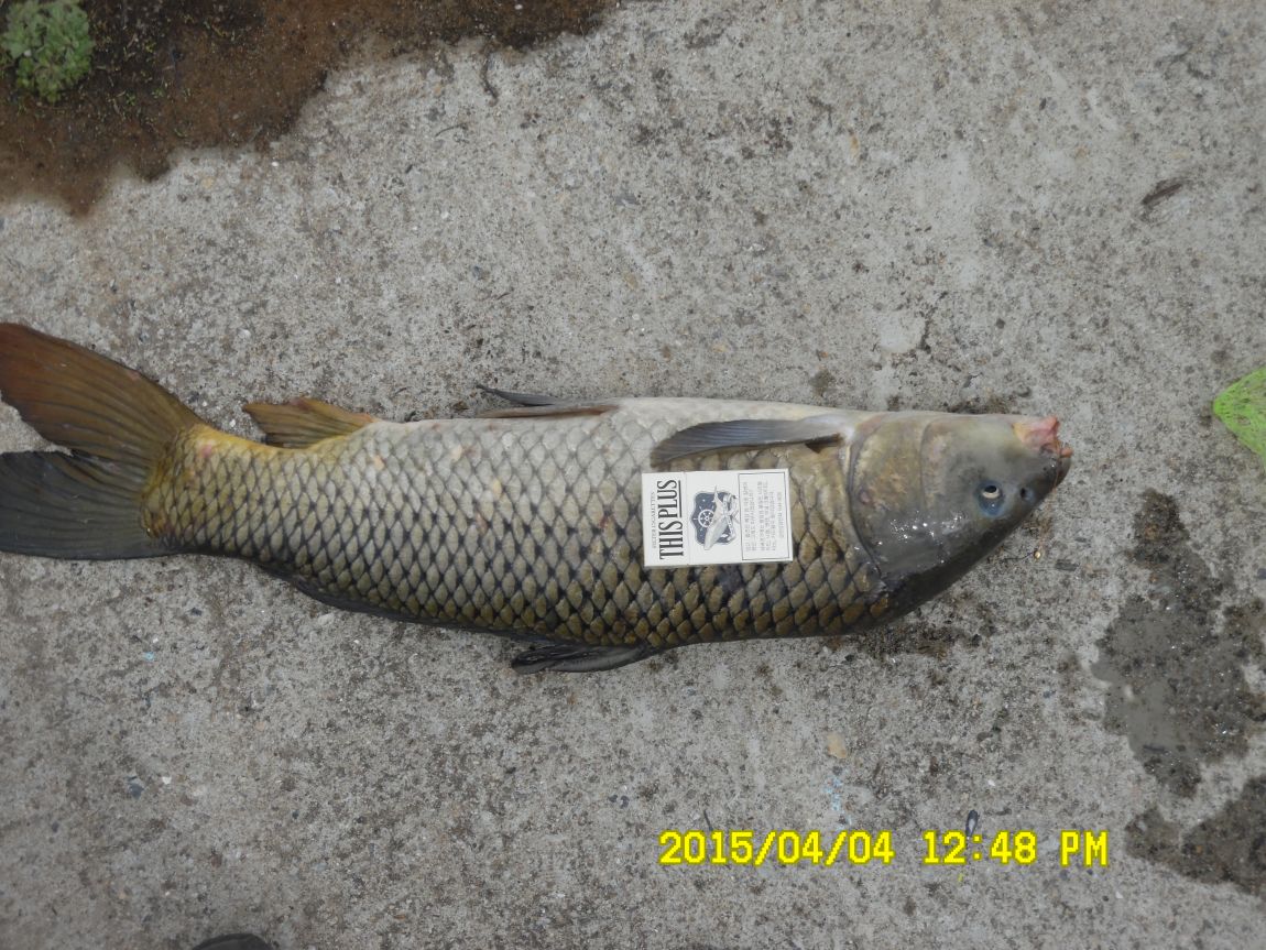 4��4������� 068.JPG