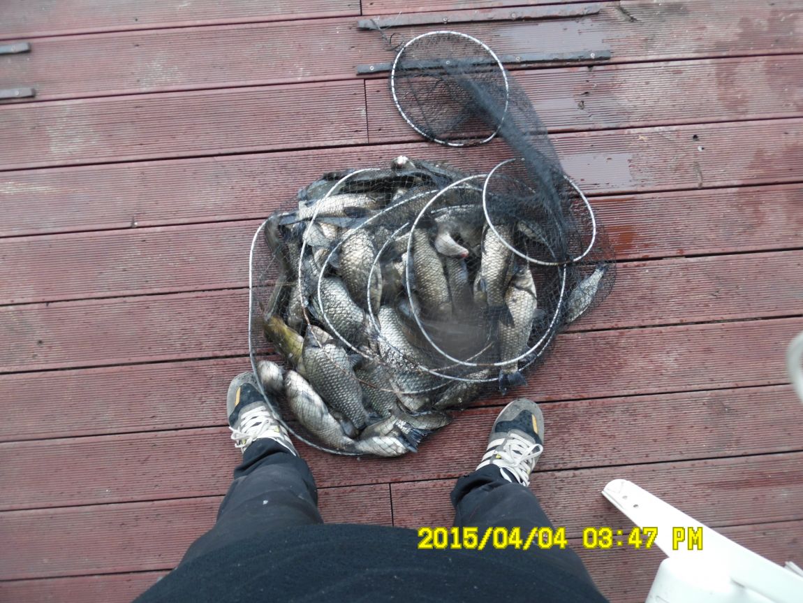 4��4������� 077.JPG