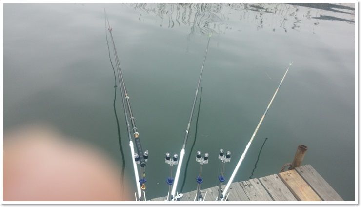 20150405_083032.jpg