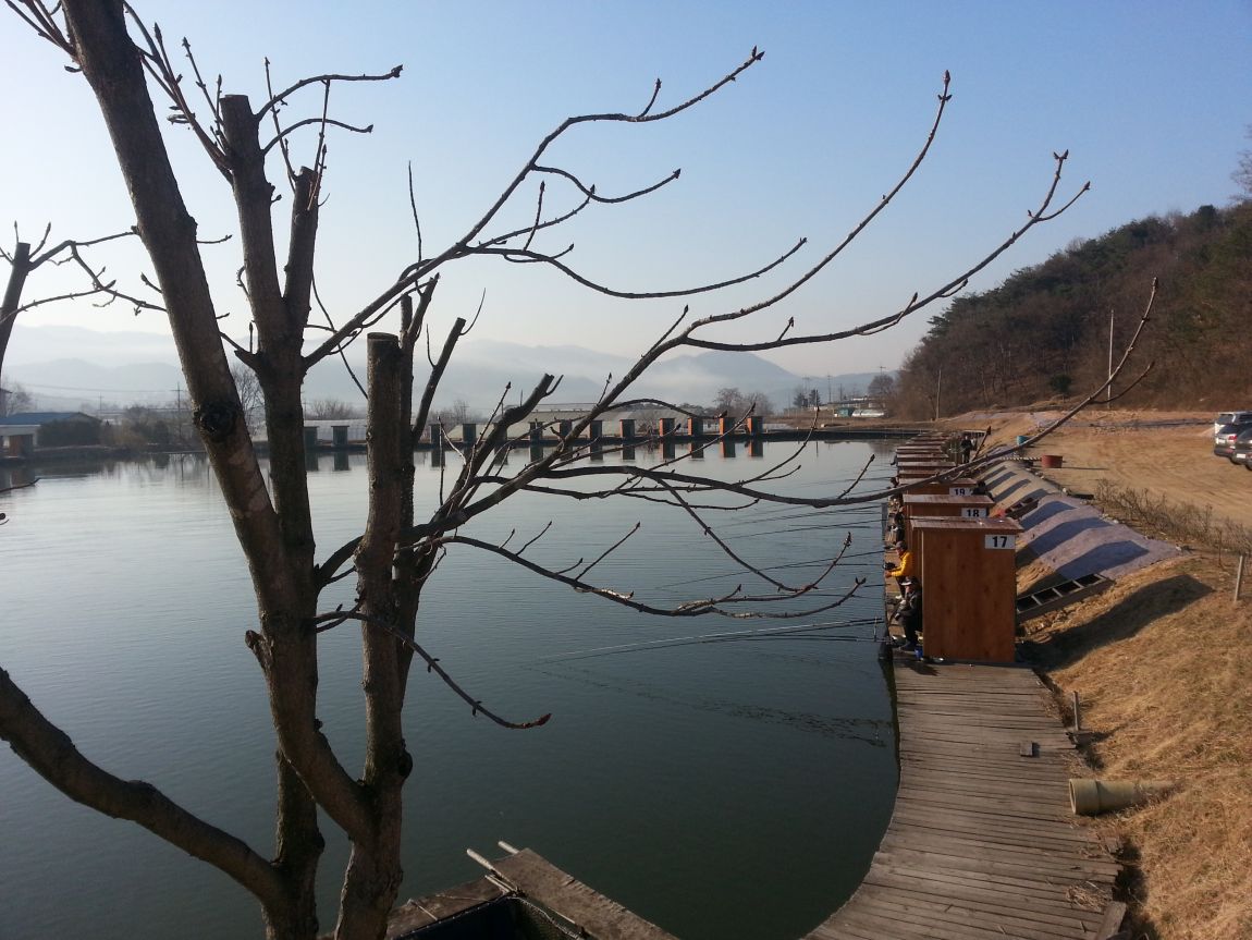 20150328_075441.jpg