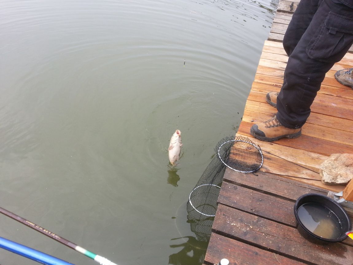20150406_073210.jpg