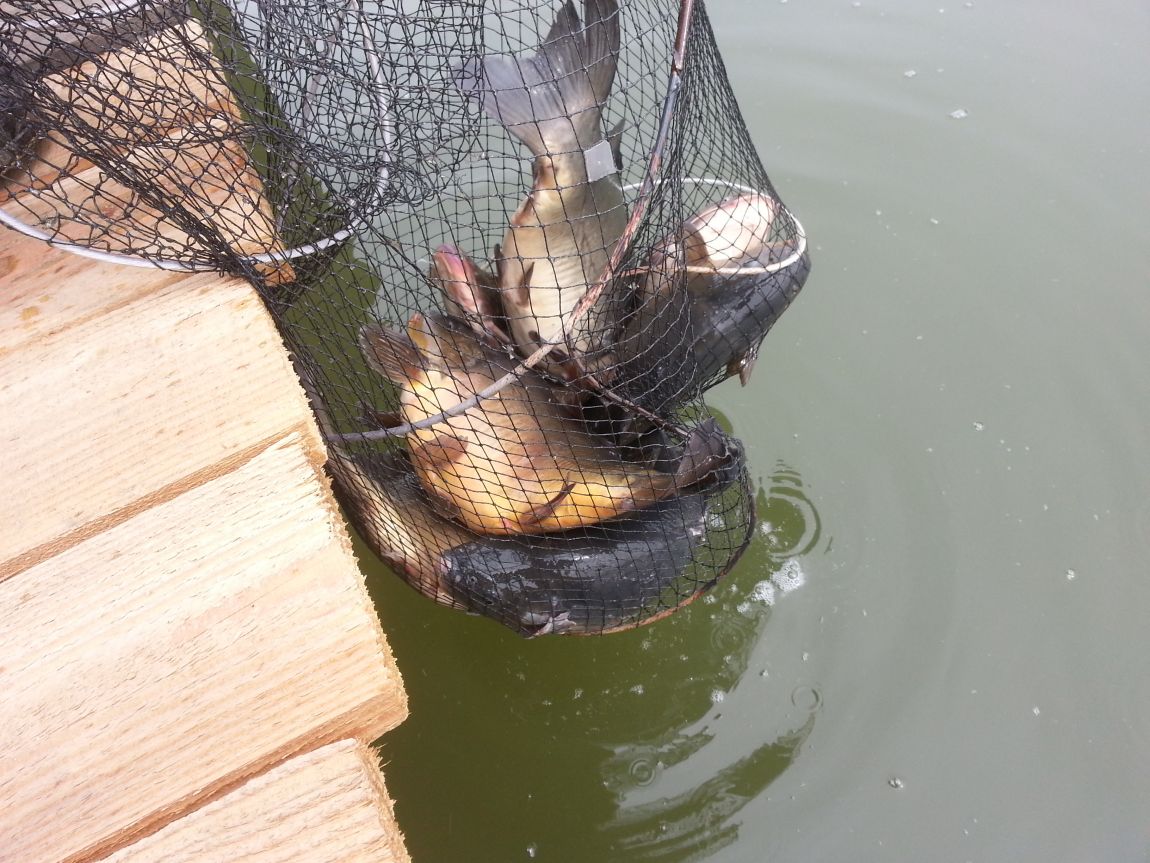 20150406_111803.jpg