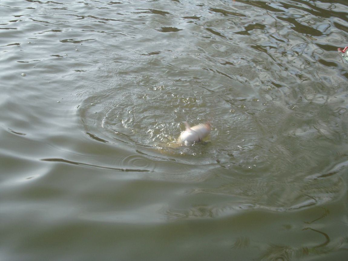 2015-4-7 002.JPG