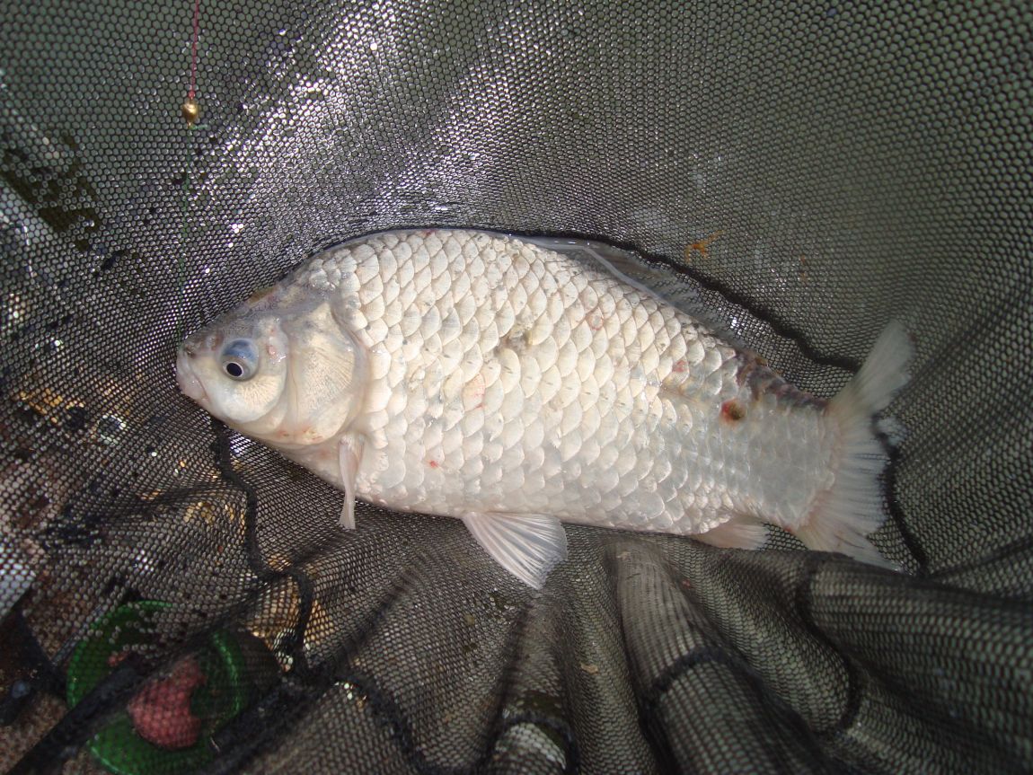 2015-4-7 017.JPG