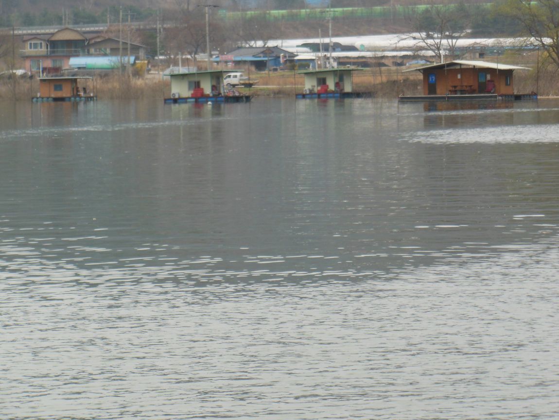 DSCN0715.JPG