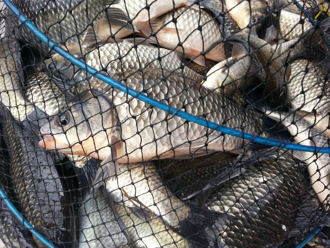 20150407_114307.jpg