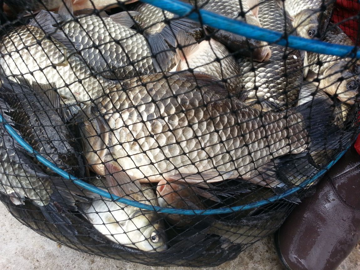 20150407_114317.jpg
