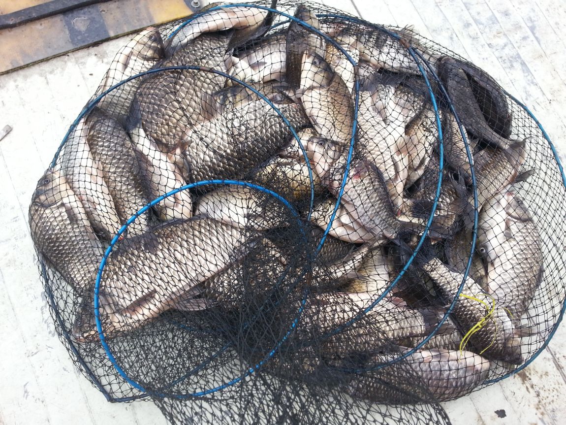 20150407_114904.jpg