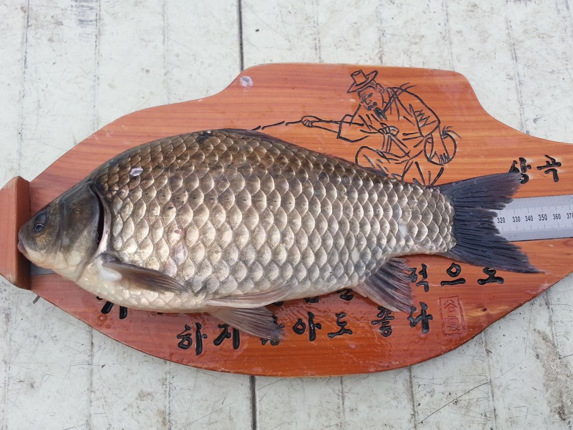 20150407_121329.jpg