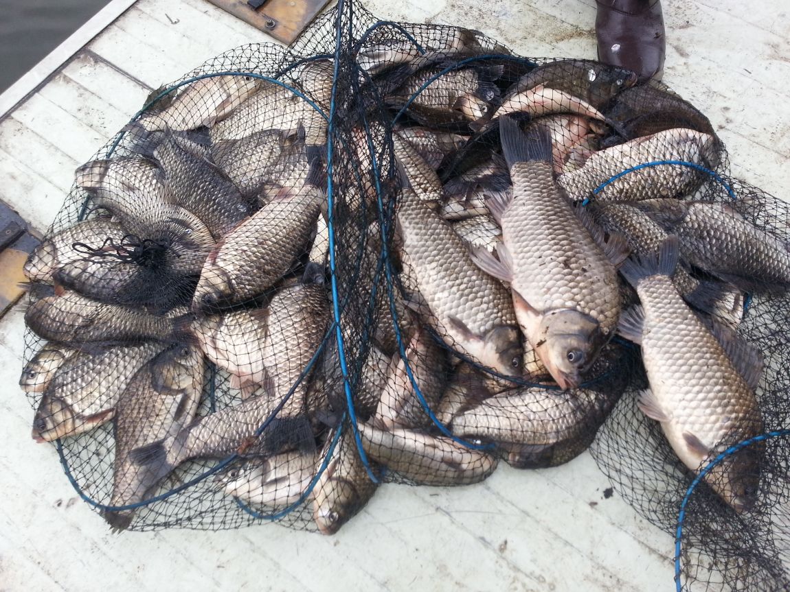 20150407_121451.jpg
