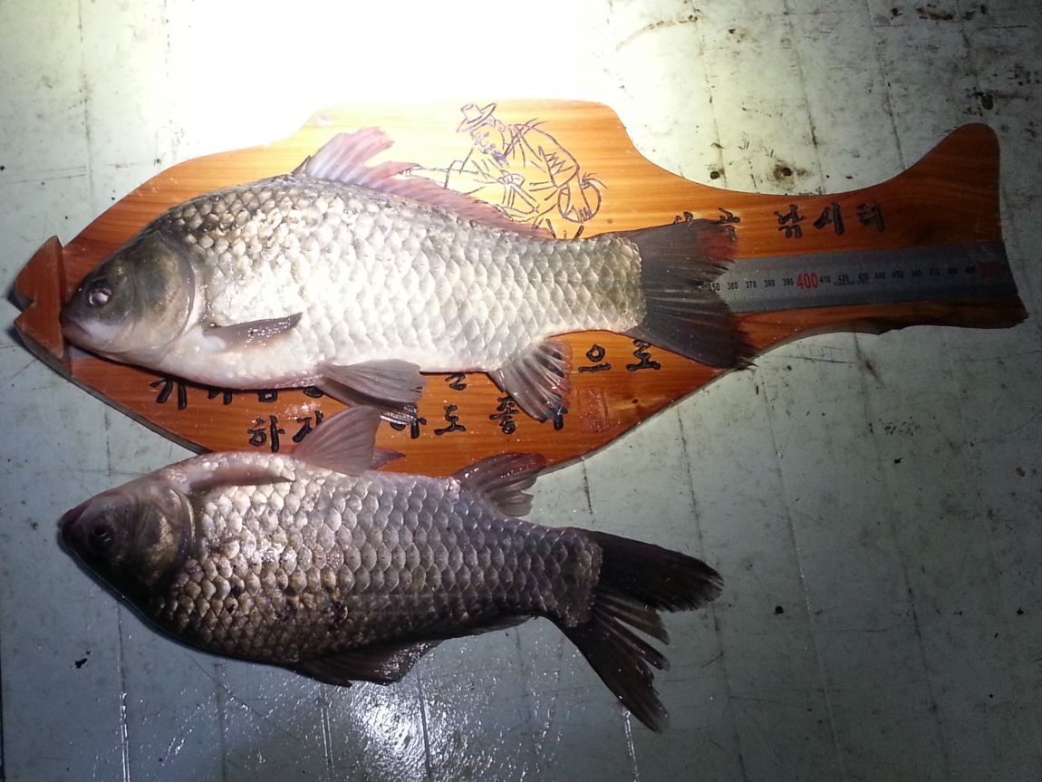 20150406_005216.jpg