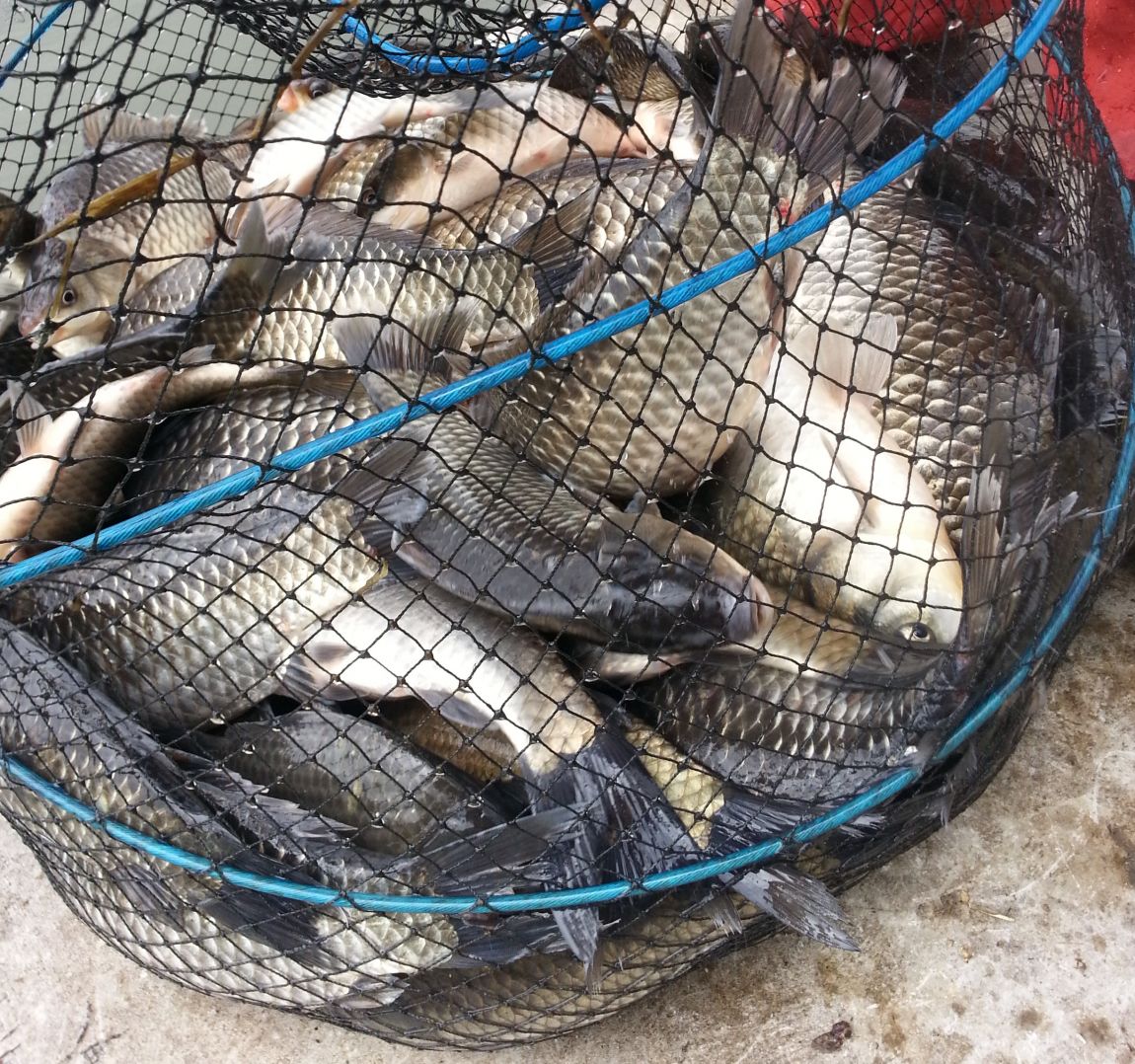20150407_114226.jpg