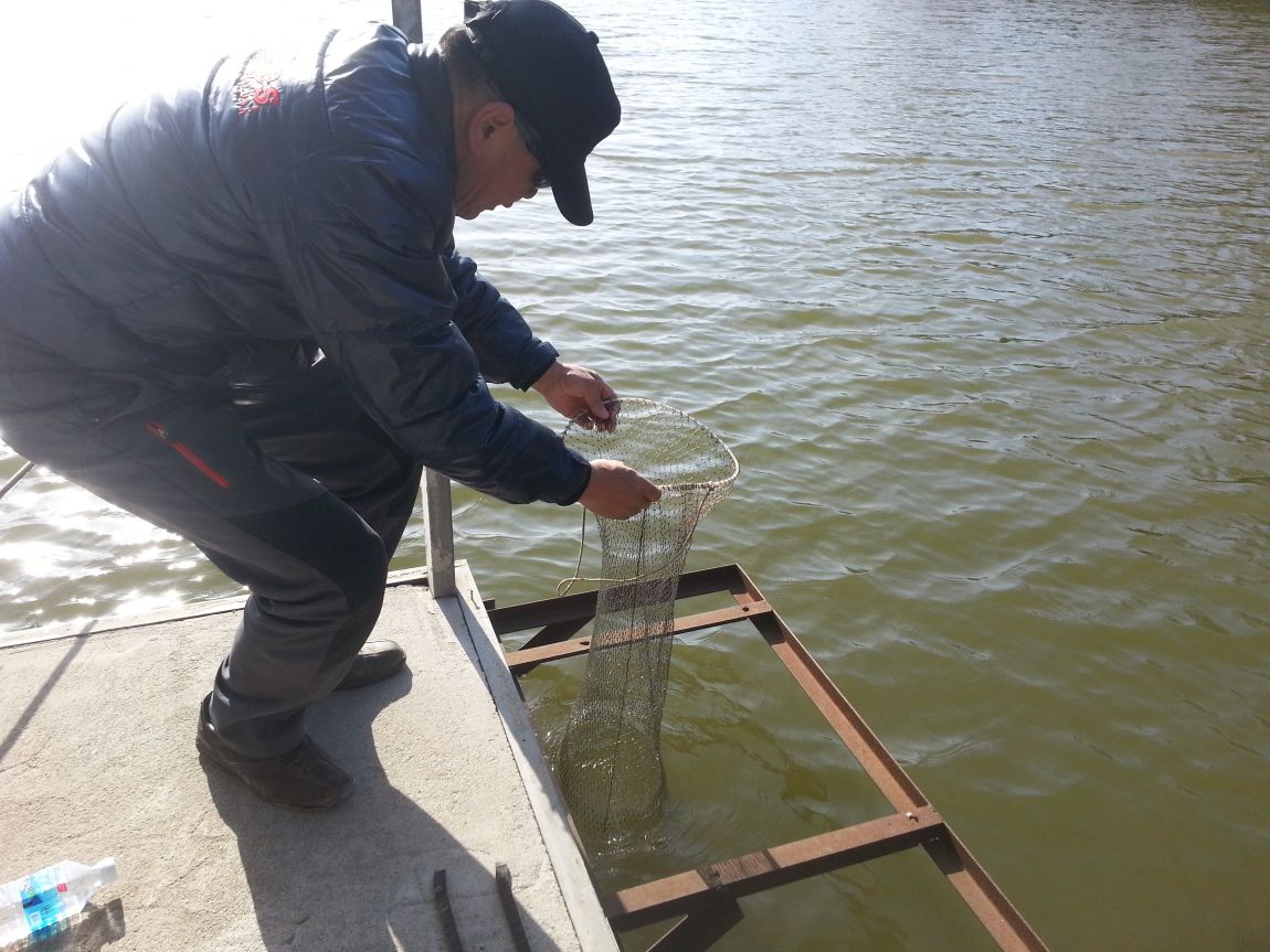 20150404_083302.jpg