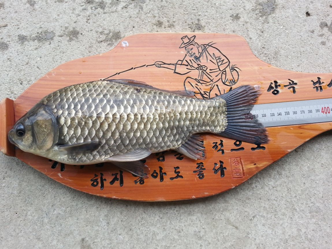 20150407_125127.jpg