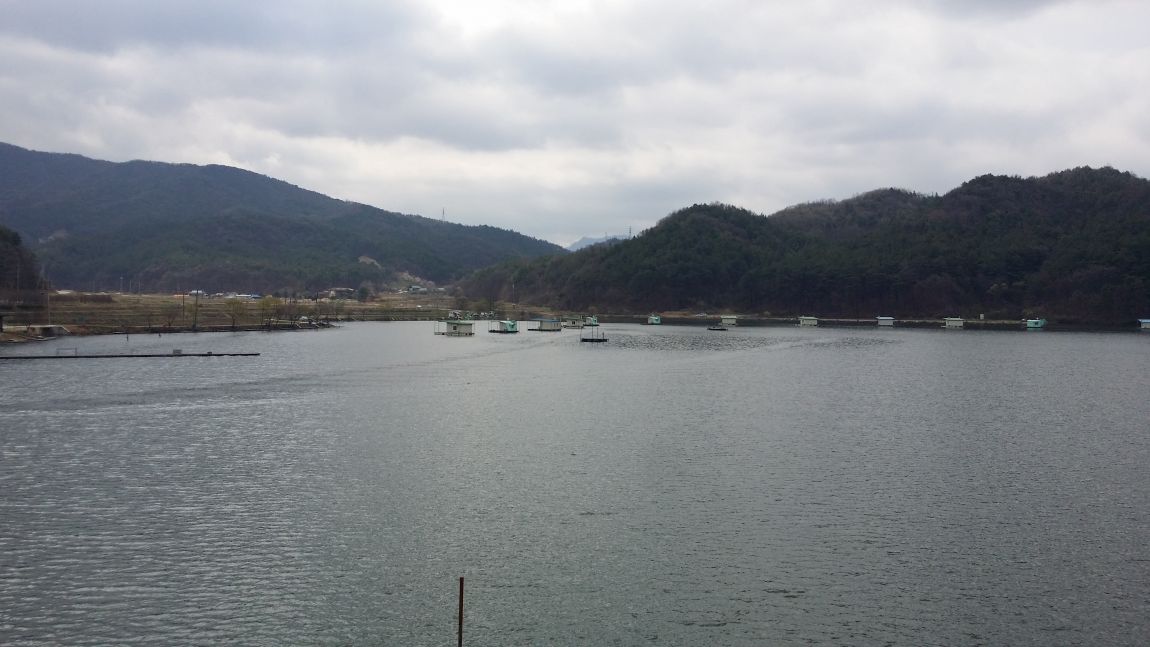 20150408_103200.jpg