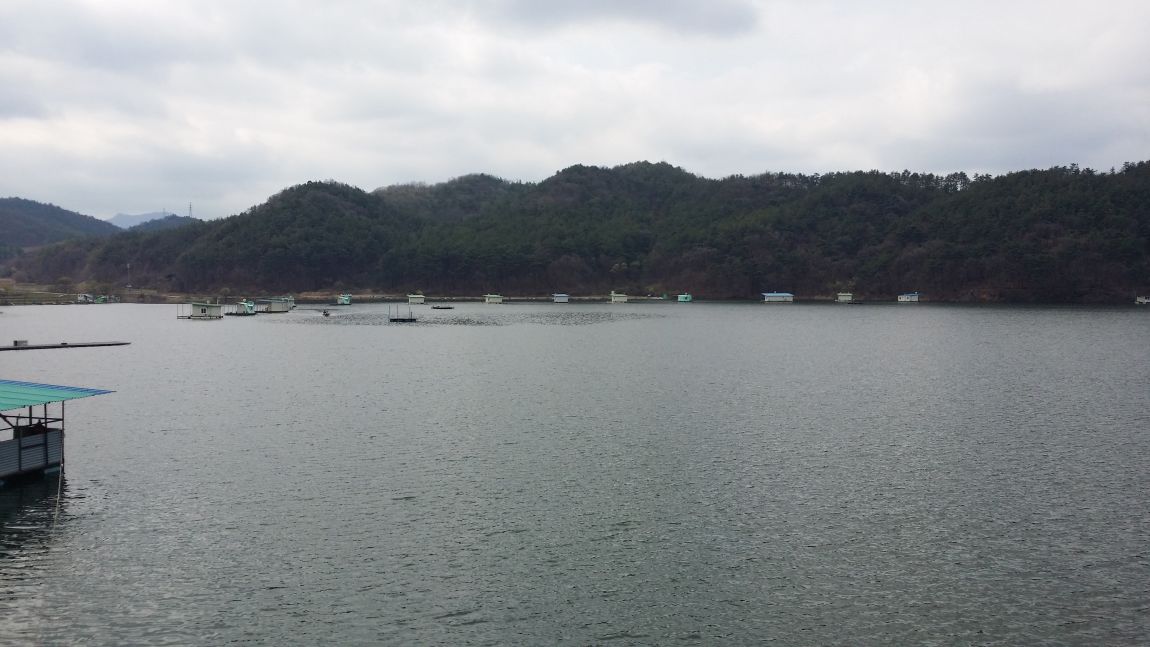 20150408_103053.jpg